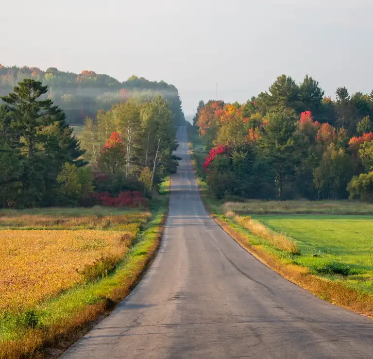 Long, straight country road flanked by green and golden fields with autumn-colored trees.